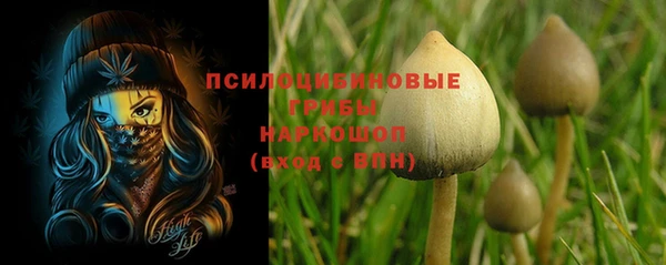 mix Алексин